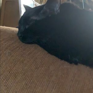 Meet your Posher, Vanessa